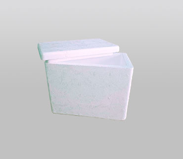 CAJA TÉMRICA 2.83 lt